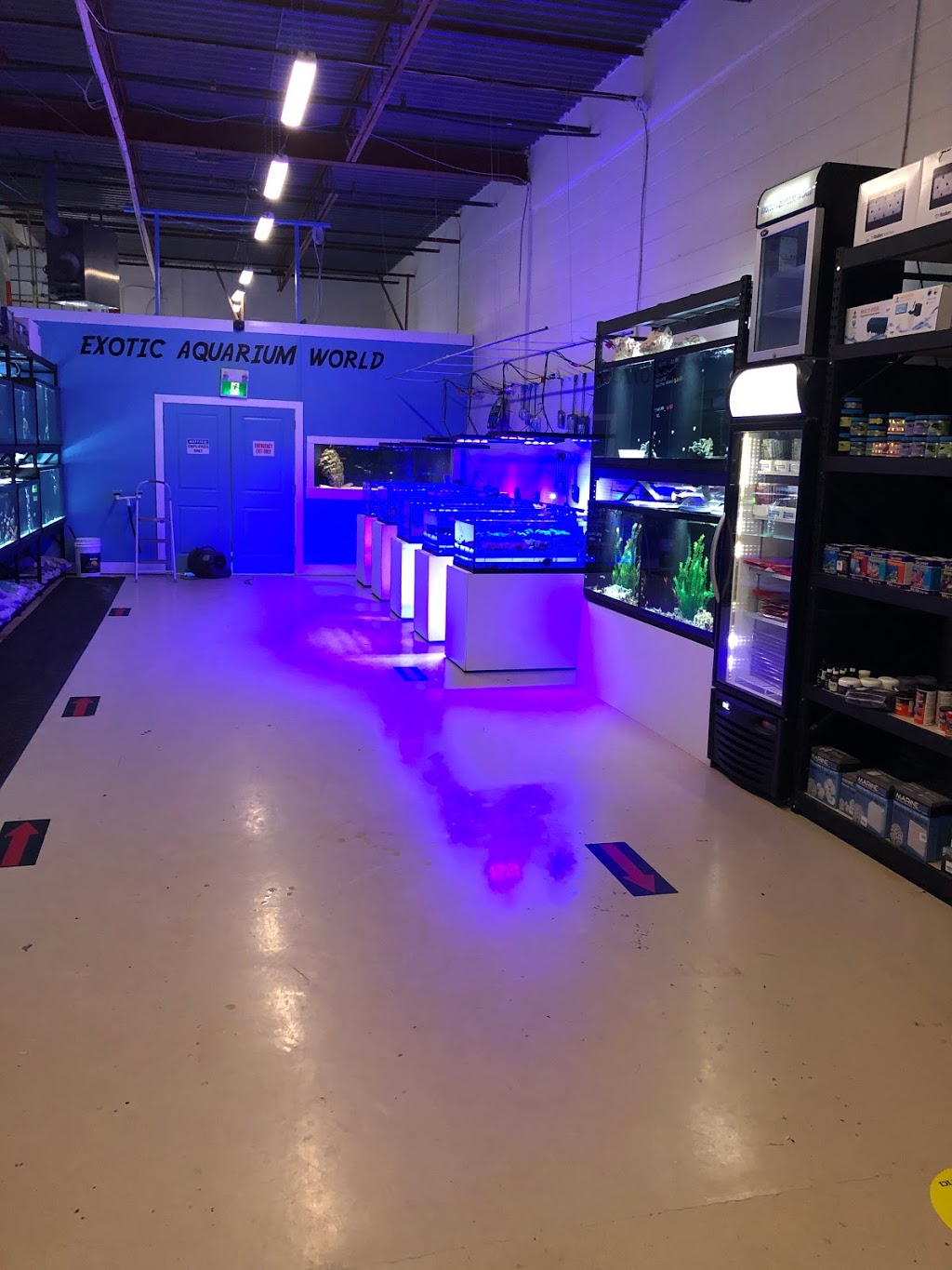 Exotic aquarium world | 5141 Tomken Rd, Mississauga, ON L4W 3W4, Canada | Phone: (905) 624-4474