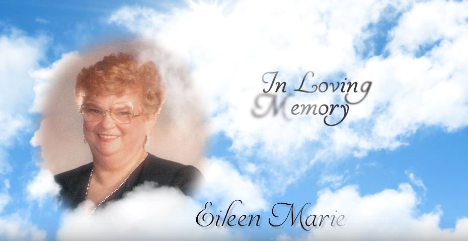 Memory Magic | 430, 50054 Range Road 232, Leduc County, AB T4X 0K8, Canada | Phone: (780) 919-3530