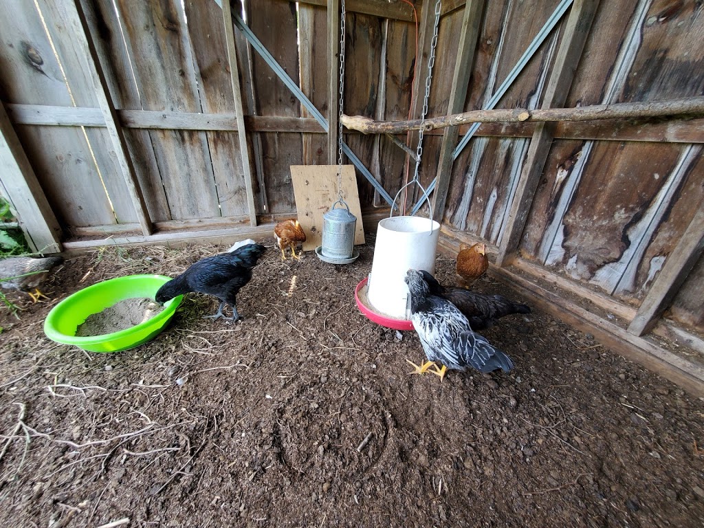 Random Acres Permaculture Farm | Random Acres Rd, Milton, ON N0B 2K0, Canada | Phone: (647) 828-5653