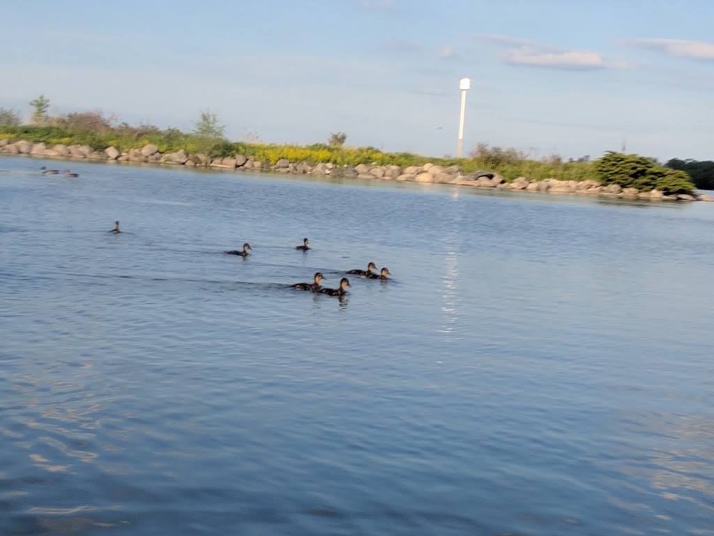 South Shore Park | Lakeshore Dr, Barrie, ON L4N, Canada