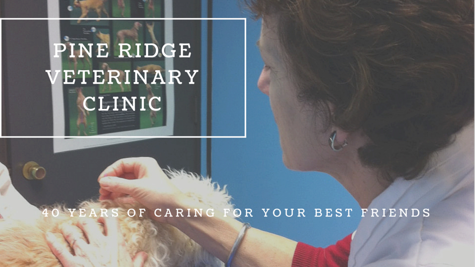Pine Ridge Veterinary Clinic | 483 Ontario St, Cobourg, ON K9A 3C1, Canada | Phone: (905) 372-2721