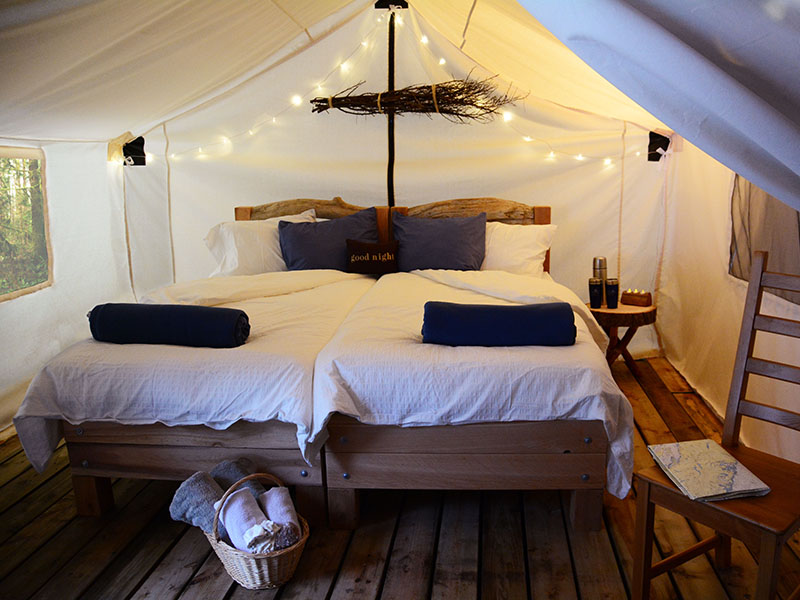 Spirit of the West Adventures | 1313 Cramer Rd, Heriot Bay, BC V0P 1H0, Canada | Phone: (250) 285-2121