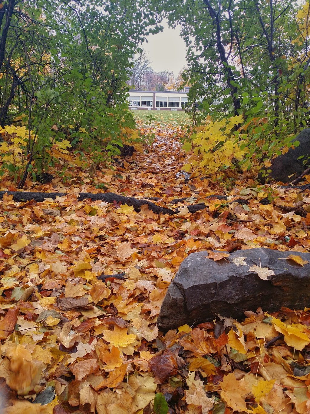 Beechwood Elementary School | 13155 Rue Shelborne, Pierrefonds, QC H9A 1L4, Canada | Phone: (514) 626-3484