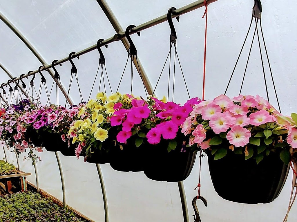 Oakbank Garden Market | 26016 Springfield Rd, Oakbank, MB R5N 0A8, Canada | Phone: (204) 444-4780