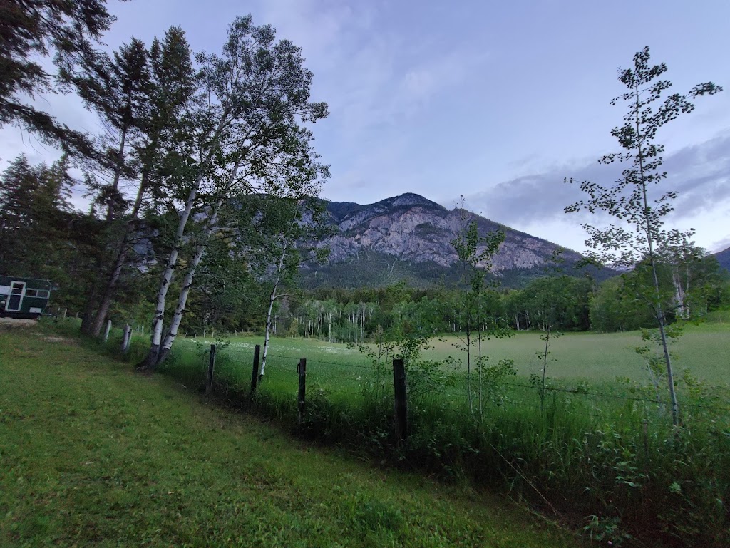 Flyway Farm & Forest | 1050 BC-95, Spillimacheen, BC V0A 1P0, Canada | Phone: (403) 875-7586