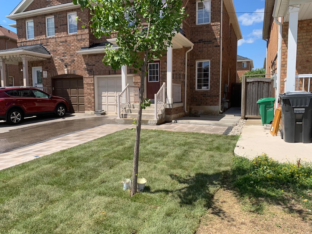 Boynton Bros Sod Supply | 12805 ON-27, Nobleton, ON L0G 1N0, Canada | Phone: (905) 859-4469