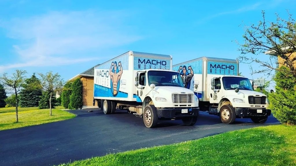 Macho Movers Inc | 40 Charleswood Ct, Cambridge, ON N3C 4K9, Canada | Phone: (519) 830-4974