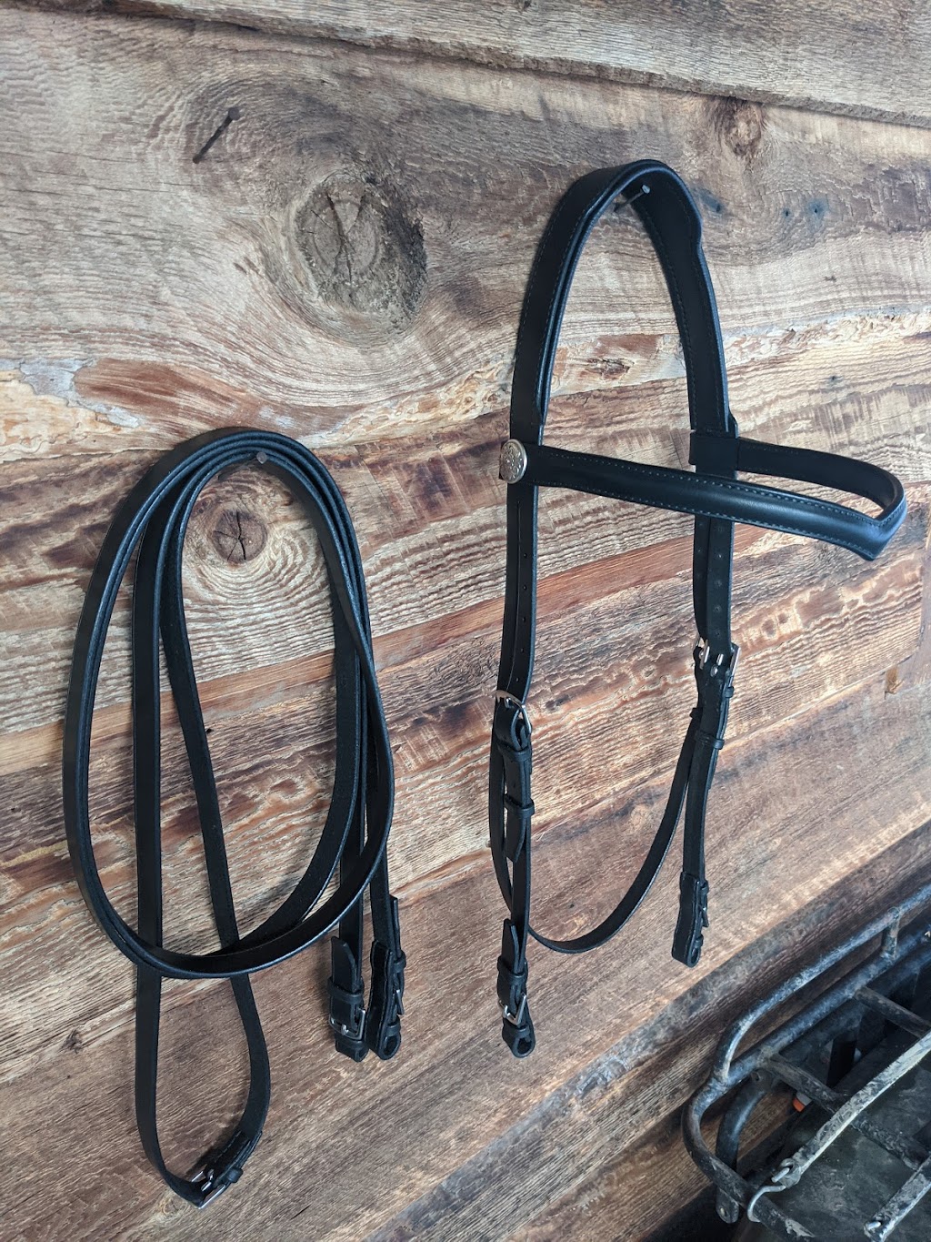 Skookumhorse Custom made Leather Products | Lagoon Ct, Clinton, BC V0K 1K0, Canada | Phone: (250) 457-0966