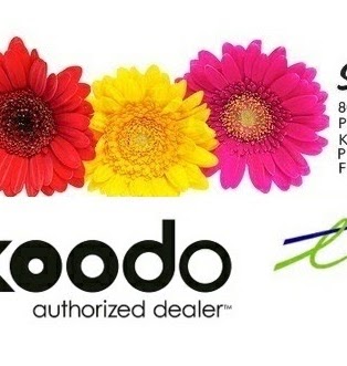 Select Wireless TELUS Koodo Perth | 80 Dufferin St, Perth, ON K7H 3A7, Canada | Phone: (613) 264-9119