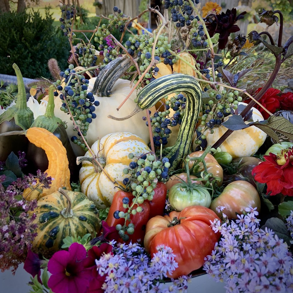 Fleuriste Dominique Houle, créations florales, Emc | 4610 Chemin Godbout, Dunham, QC J0E 1M0, Canada | Phone: (514) 233-6886