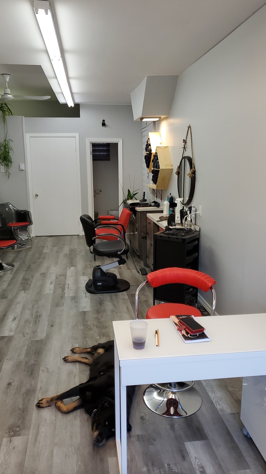 Salon Franco - Coiffure pour hommes et femmes | 334 Rue Laurier, Laval, QC H7N 2N4, Canada | Phone: (450) 669-1511