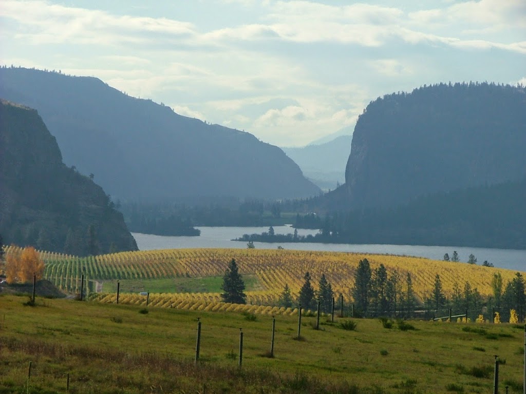 Ann Hayes - South Okanagan Homes - Royal LePage South Country | 5717 Main St #125, Oliver, BC V0H 1T9, Canada | Phone: (250) 498-7911