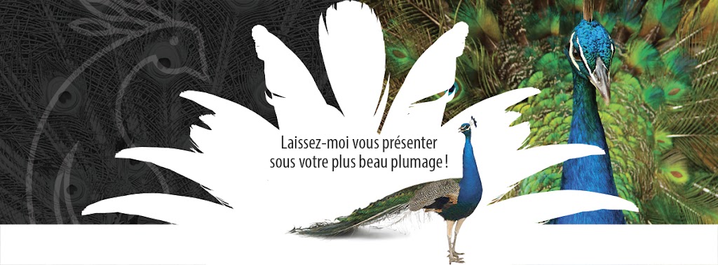 Concpetion Graphique MC | 180 Rue Riel, Chicoutimi, QC G7G 3H4, Canada | Phone: (418) 590-3067