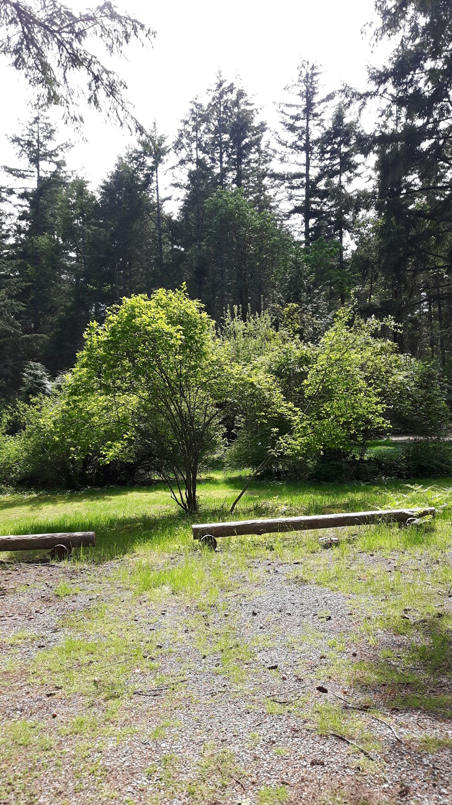 Two Coves Resort | 3415 Yellowpoint Rd on, Laguna Vista Rd, Ladysmith, BC V9G 1E6, Canada | Phone: (250) 245-4014