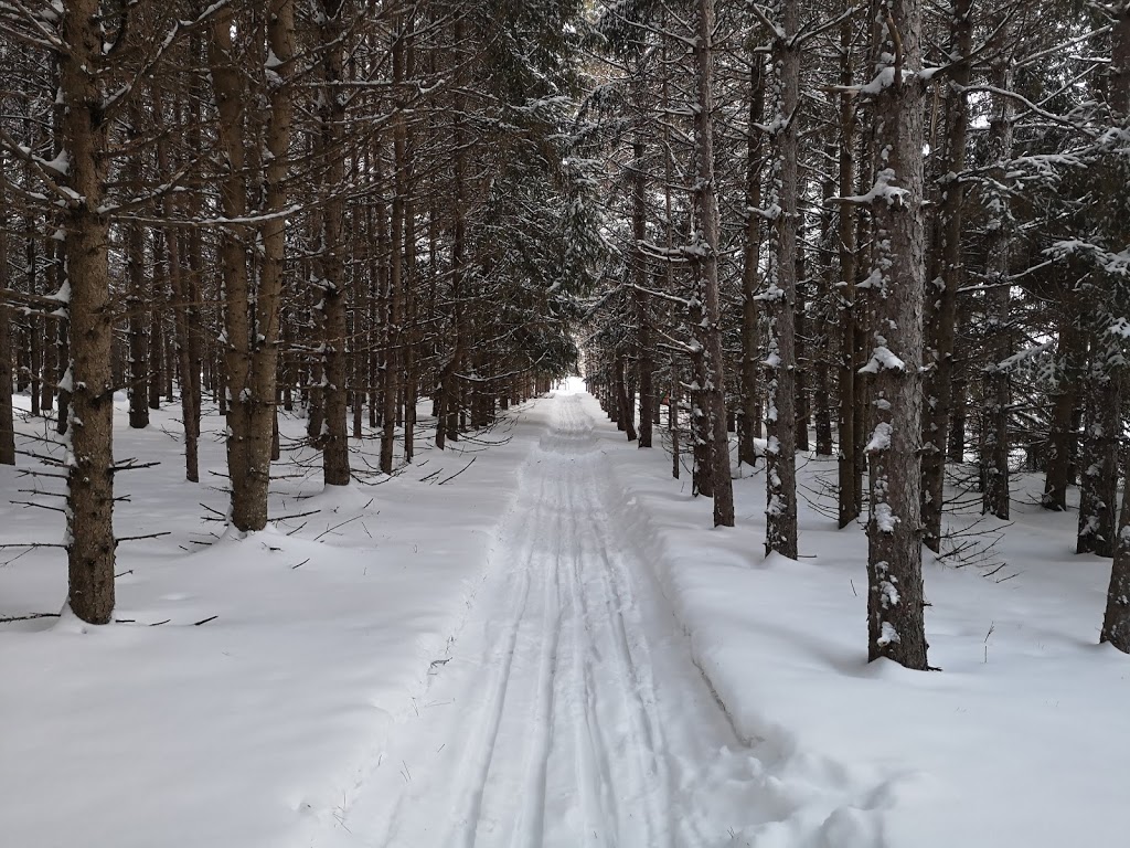 Base de Plein-Air Jean Jeune - Camp de Vacances | 180 Chemin Jean Jeunes, Amherst, QC J0T 2T0, Canada | Phone: (450) 679-5017