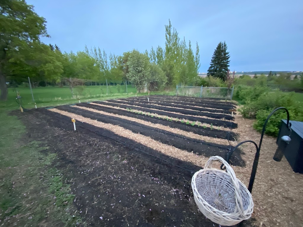 InstaLawn Hydroseeding Inc | 21244, Township Rd 464, Camrose, AB T4V 1X4, Canada | Phone: (780) 878-1711
