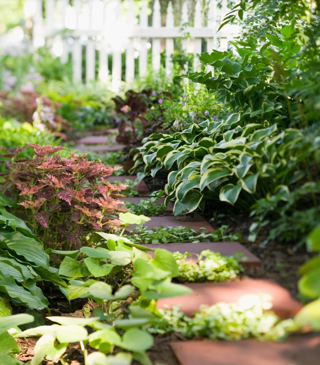 Dawn Gardenscapes | 6870 Fansher Rd, Florence, ON N0P 1R0, Canada | Phone: (226) 627-0793