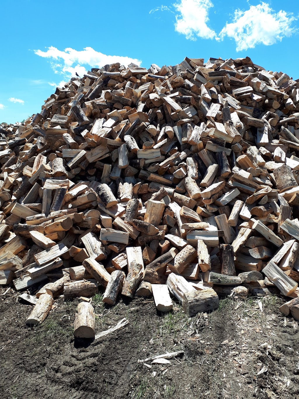 Tri-J Industries | SW 34-17-15W, Riding Mountain, MB R0J 1T0, Canada | Phone: (204) 966-3372