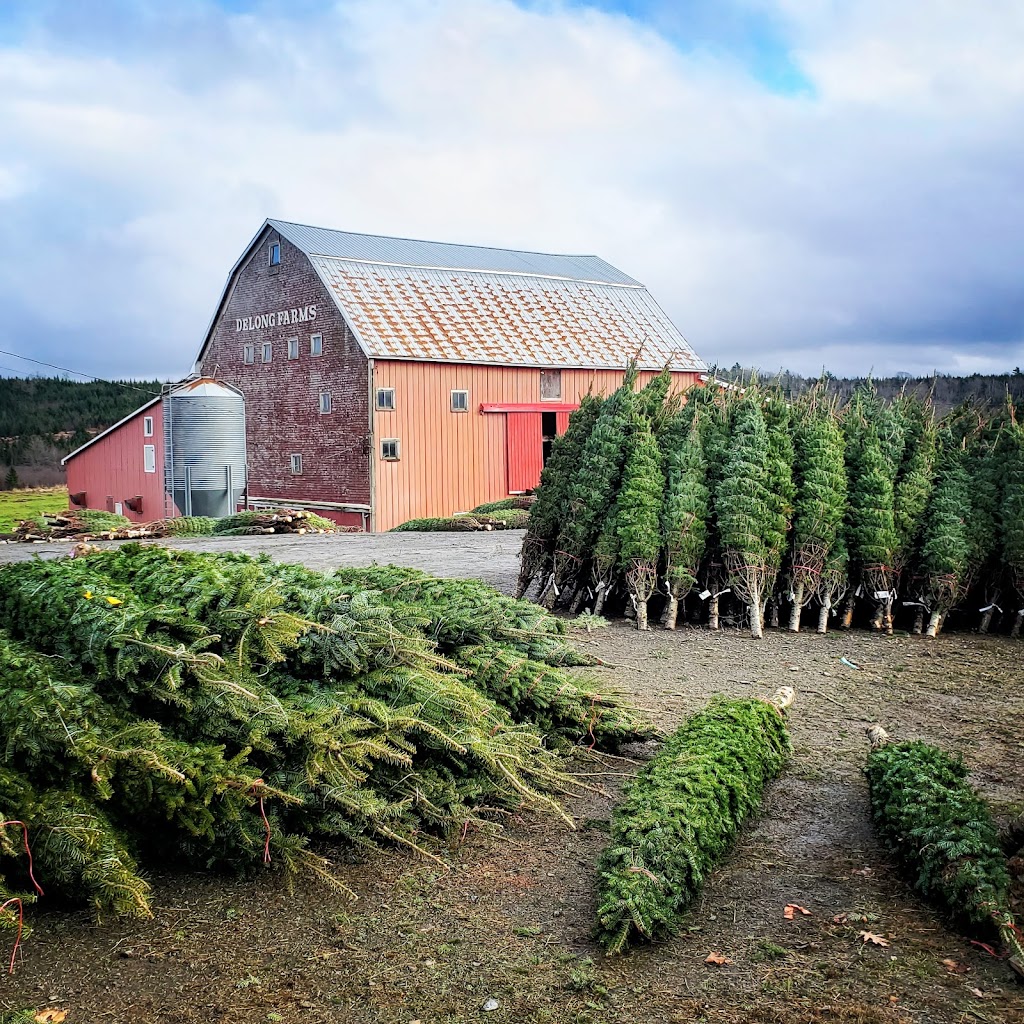 DeLong Farms | 312 Barss Corner Rd, New Germany, NS B0R 1E0, Canada | Phone: (800) 565-1230