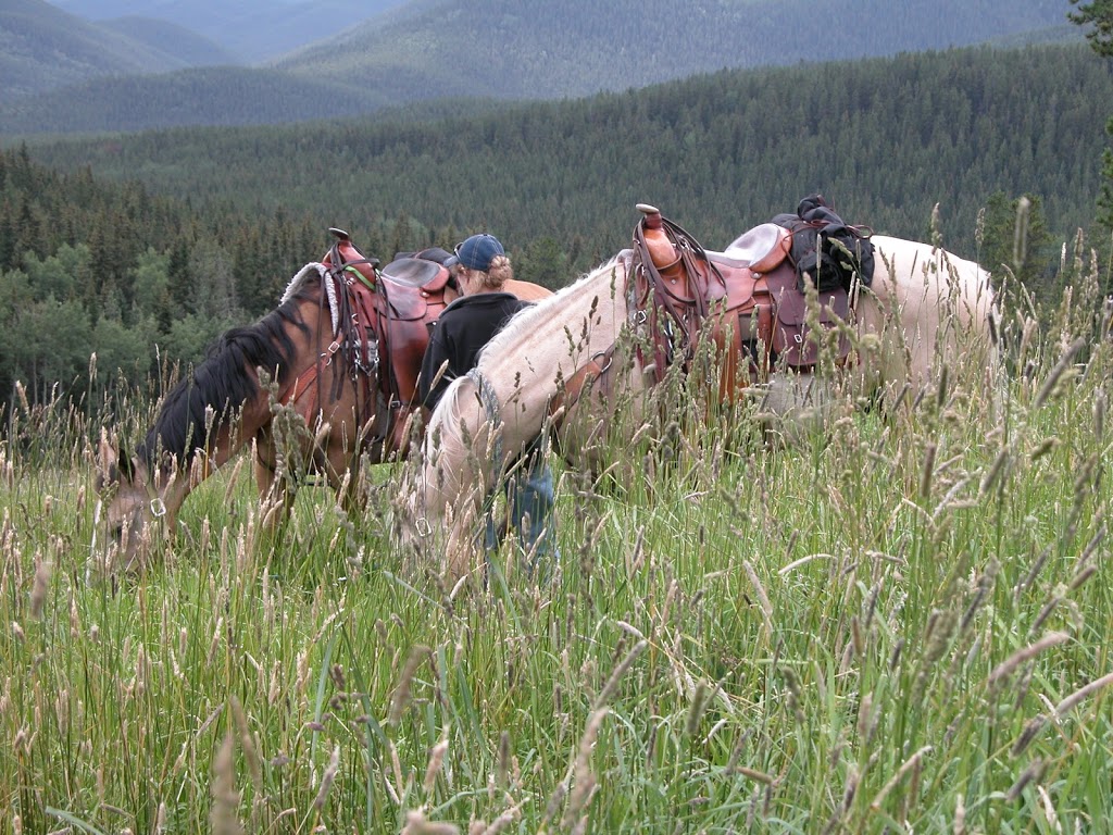 Mesa Butte Provincial Recreation Area | Bragg Creek, AB T0L 0K0, Canada | Phone: (403) 949-3132