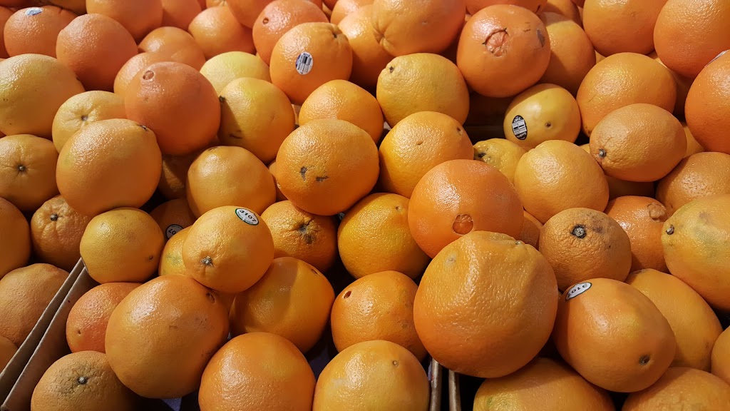 Spataros No Frills | 8990 Chinguacousy Rd, Brampton, ON L6Y 5X6, Canada | Phone: (866) 987-6453