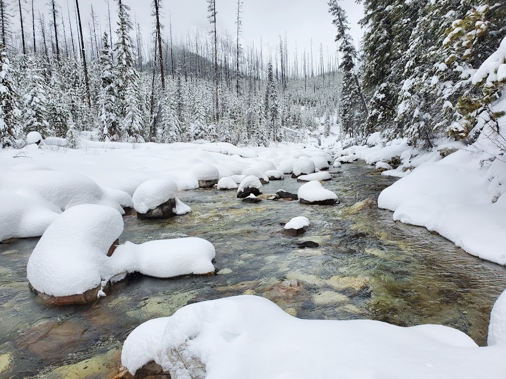 Marble Canyon Trailhead | G Marble Canyon, East Kootenay, BC V0A 1M0, Canada | Phone: (250) 347-9505