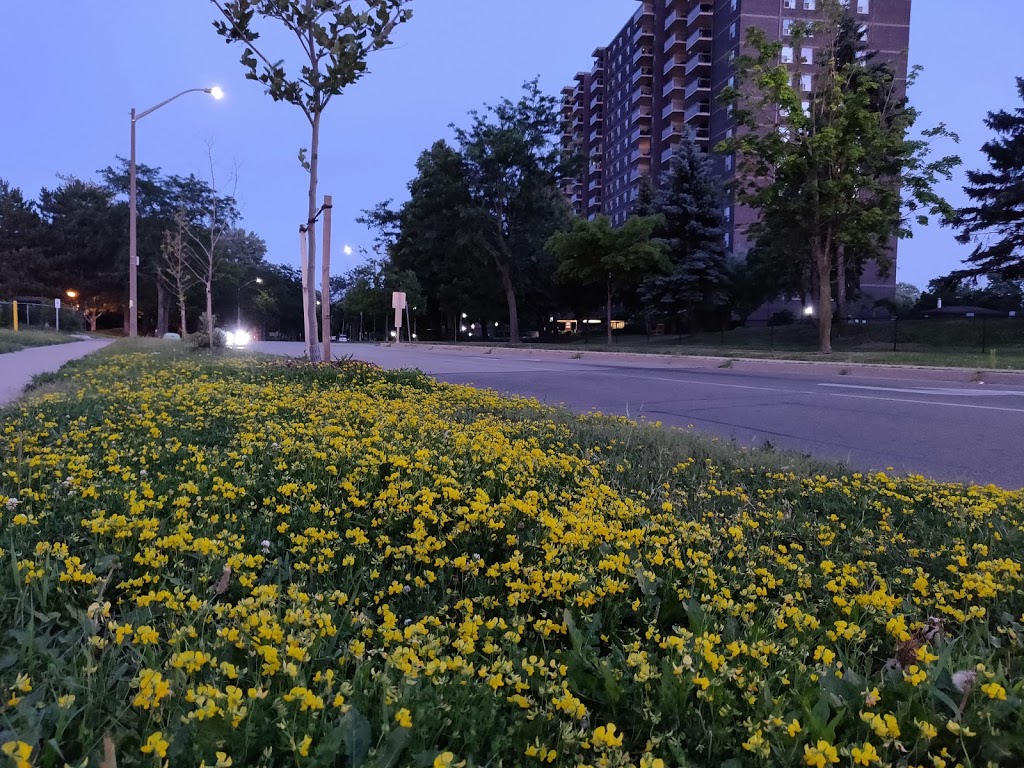 Clarkson Village Shopping Centre | 1865 Lakeshore Rd W, Mississauga, ON L5J 4P1, Canada