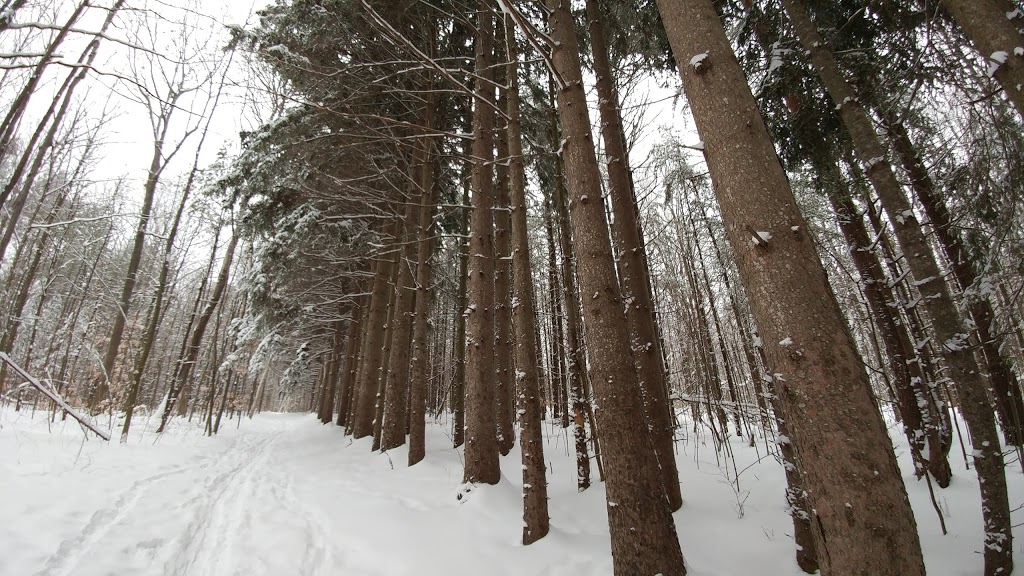 Long Sault Conservation Area | Long Sault Conservation Area, 9293 Woodley Rd, Bowmanville, ON L1C 3K6, Canada | Phone: (905) 579-0411