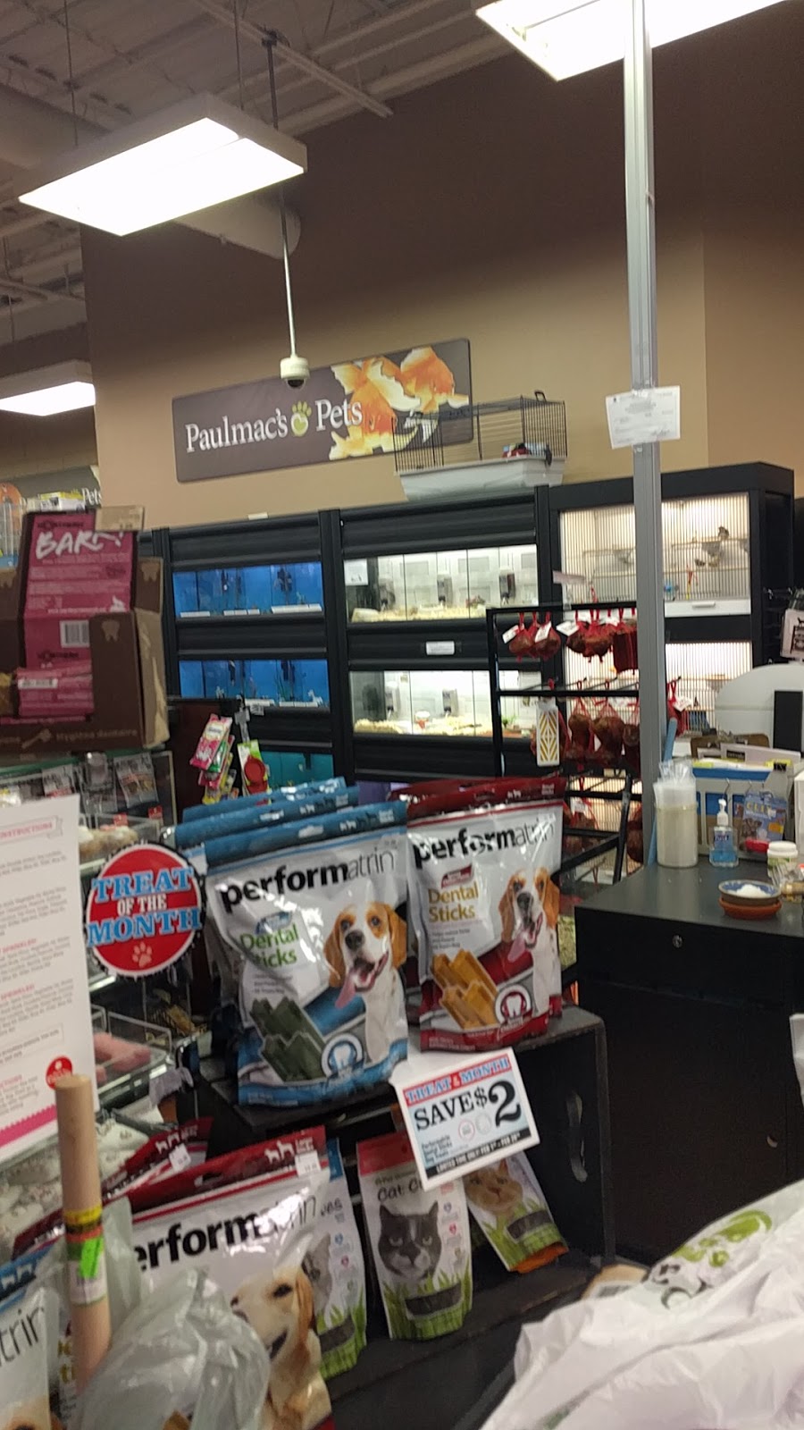 Paulmacs Pets | 1565 Barton St E, Hamilton, ON L8H 2Y3, Canada | Phone: (905) 312-8218