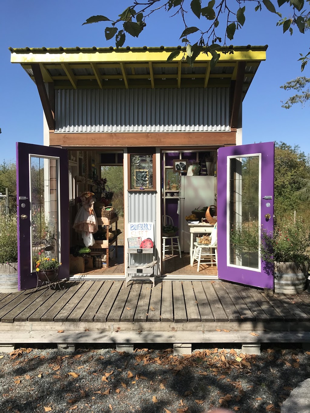 Miss Dahlia Store | 2241 Tippett Rd, Nanoose Bay, BC V9P 9E6, Canada | Phone: (250) 821-7339