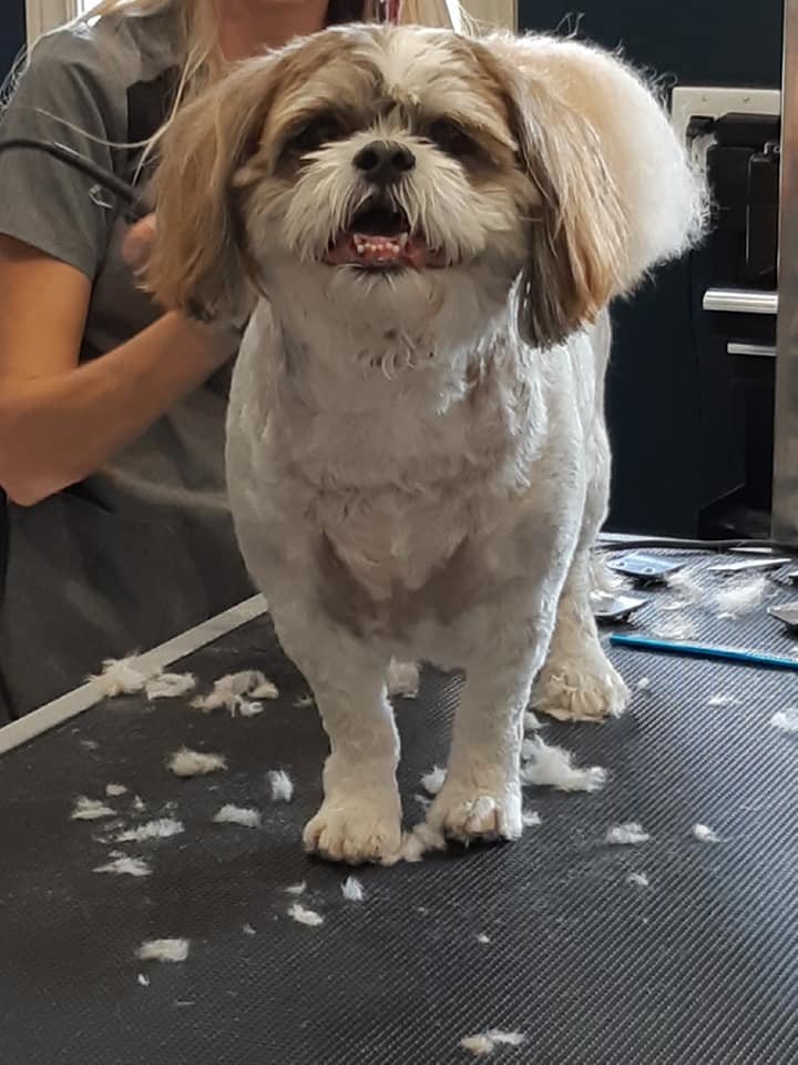 Woof! Pet Resort | 684459 Oxford 2, Woodstock, ON N4S 7V7, Canada | Phone: (519) 421-7387
