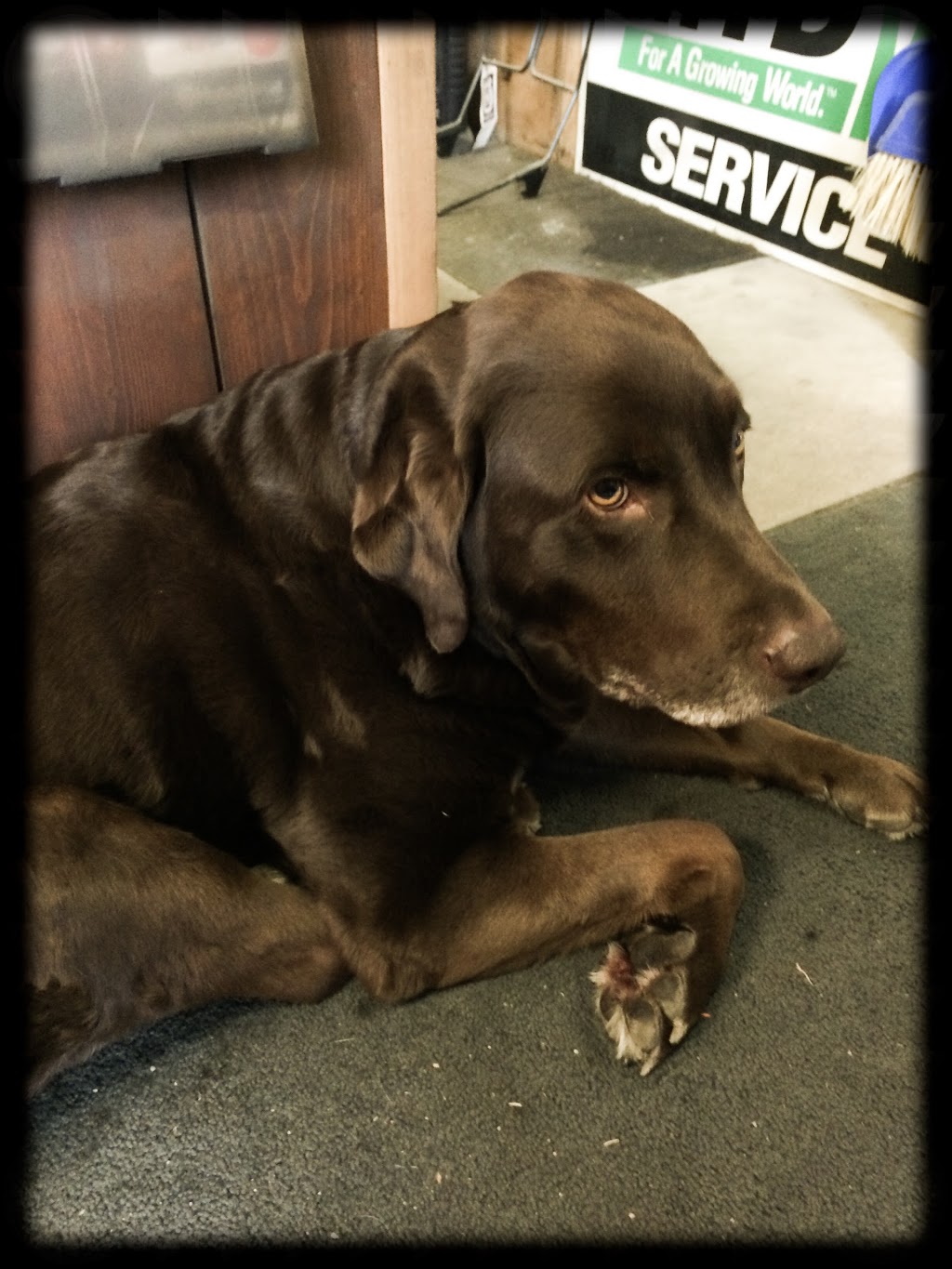 Jordan Repairs Ltd | 87 Killarney Bay Rd, Cameron, ON K0M 1G0, Canada | Phone: (705) 374-4357