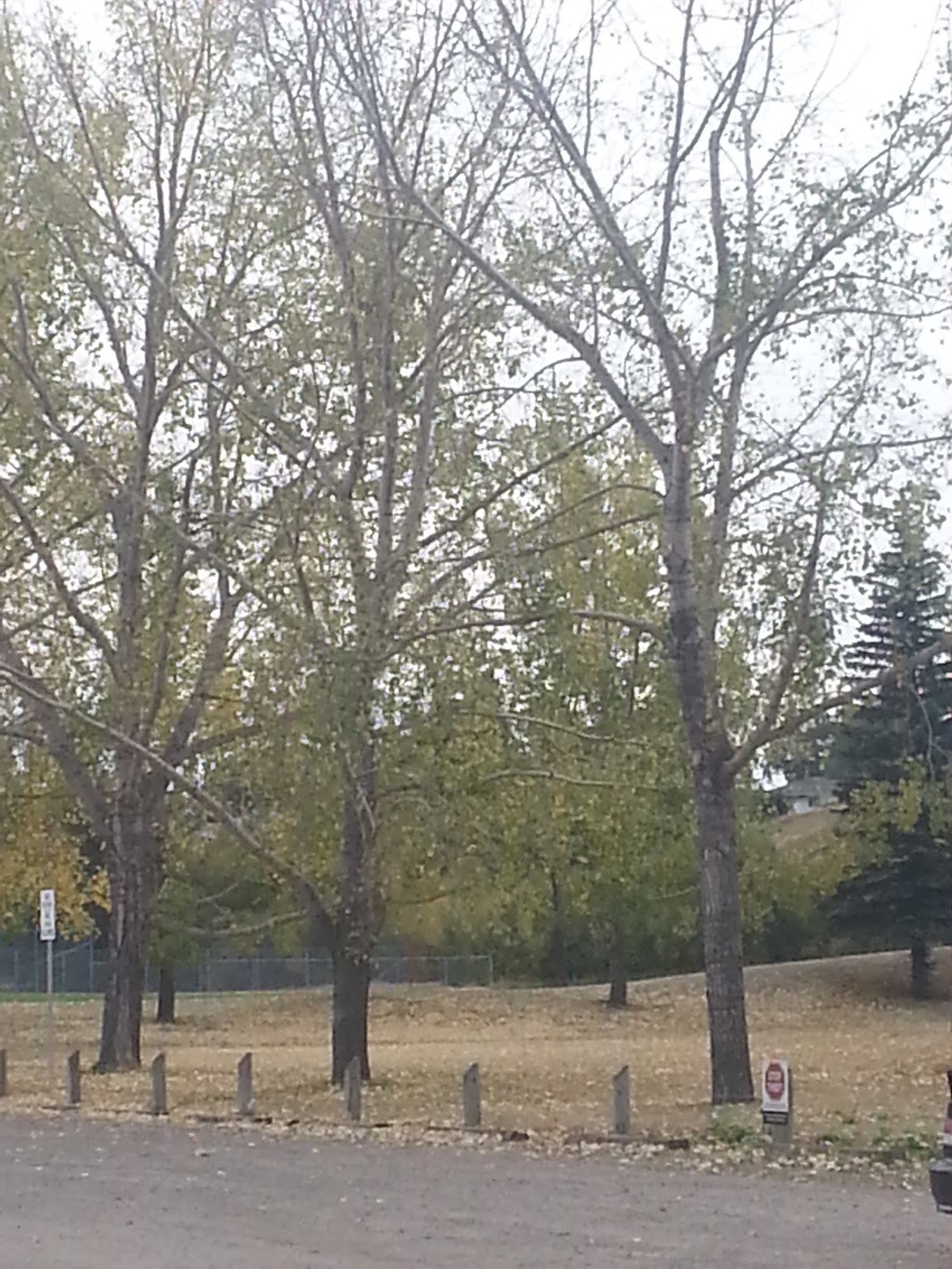 Pop Davies Athletic Park | 6415 Ogden Rd SE, Calgary, AB T2A 0K6, Canada | Phone: (403) 268-2489