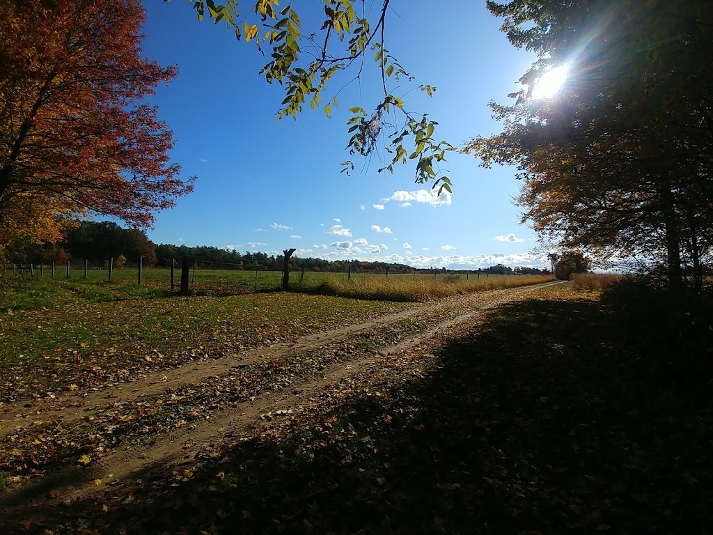 YU Ranch | 460 Plowmans Line, Tillsonburg, ON N4G 4G9, Canada | Phone: (519) 842-2597
