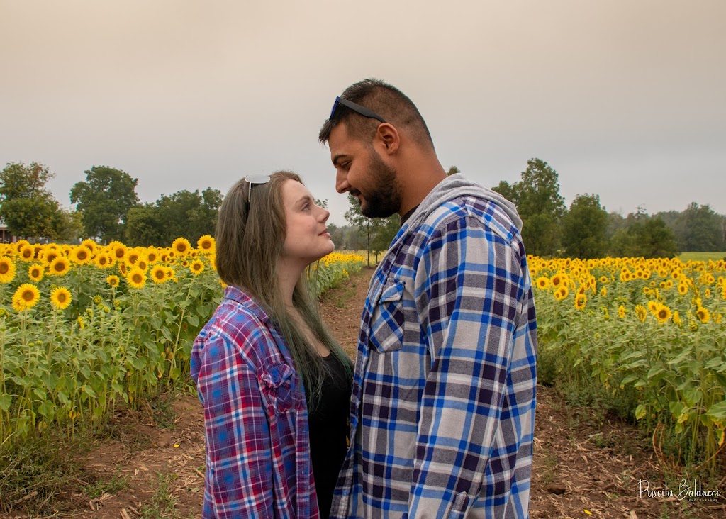 priscila baldacci photography | 27 Braeheid Ave, Waterdown, ON L8B 0C5, Canada | Phone: (647) 969-4005