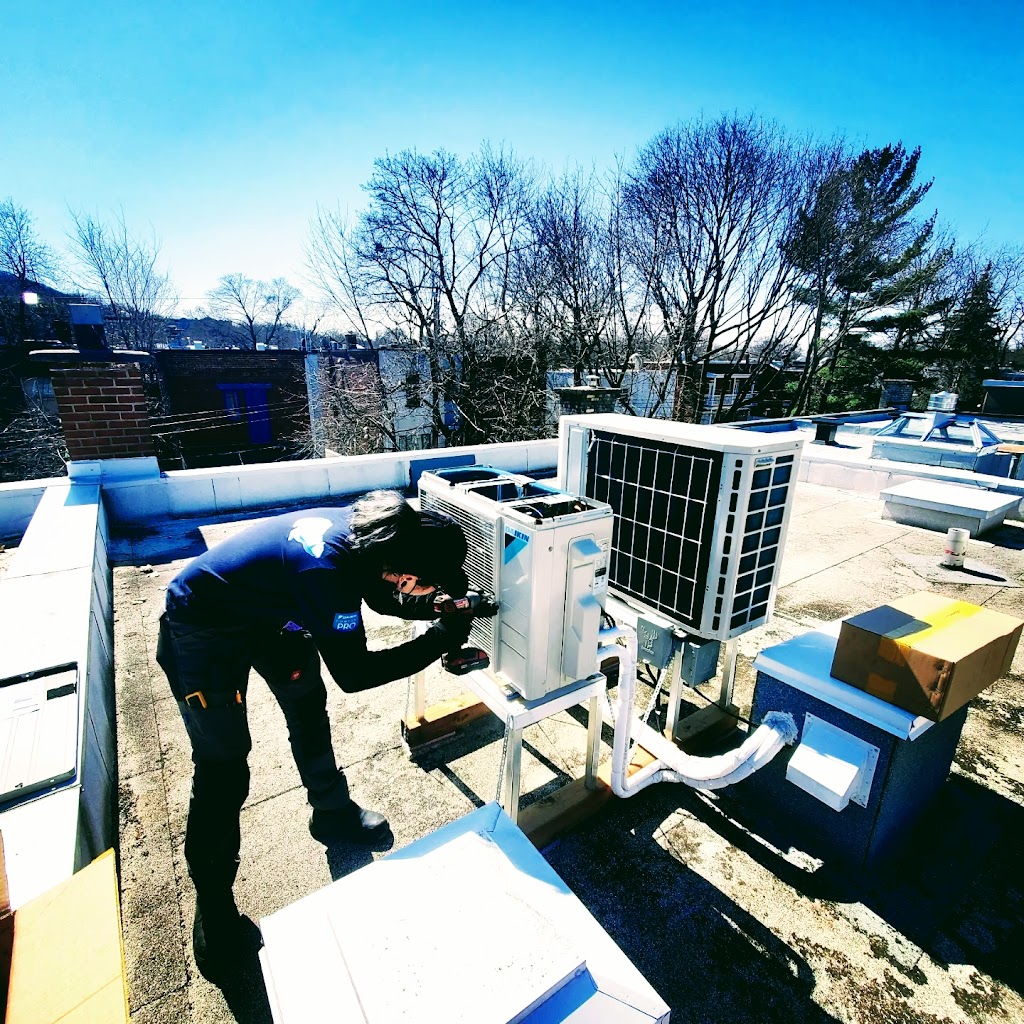LES SERVICES POLARBEAR RIVE SUD | 5665 Rue du Condor, Brossard, QC J4Z 0A5, Canada | Phone: (514) 522-5052