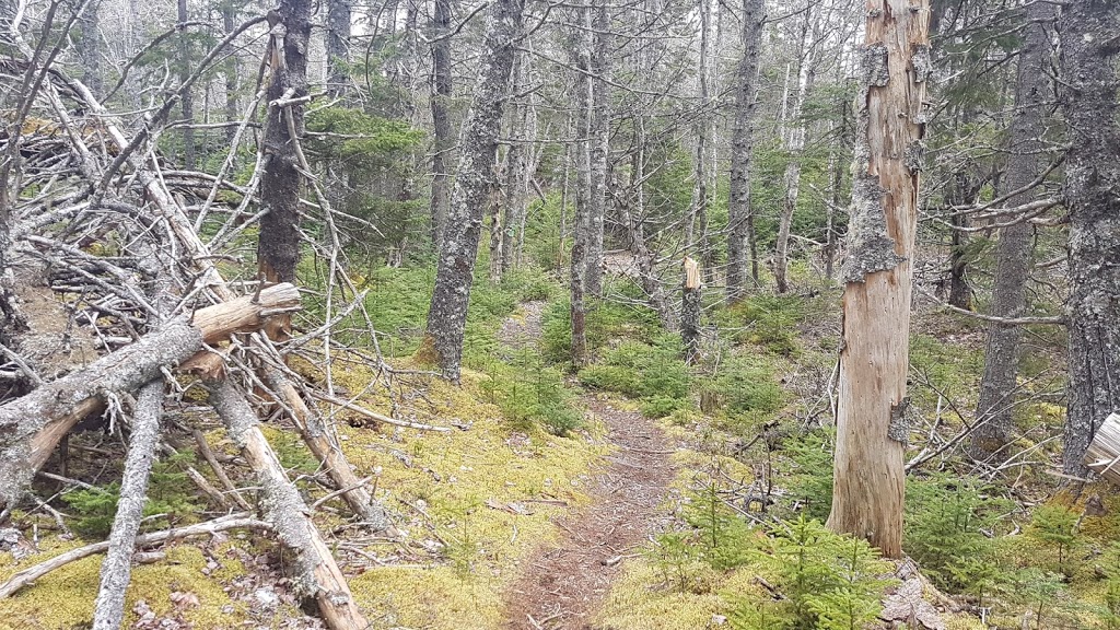 Indian Path Common Hiking Trail | Fish Peddler Rd, Riverport, NS B4V 2H1, Canada