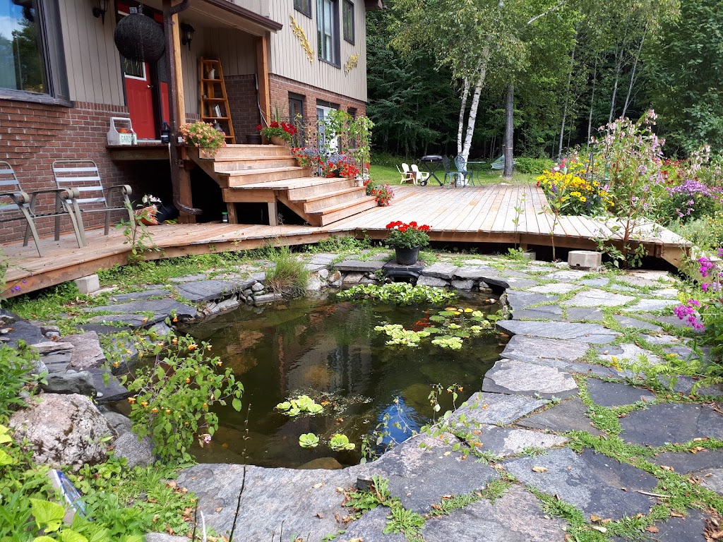 Reflection B&B | 12612 ON-118, Algonquin Highlands, ON K0M 1J1, Canada | Phone: (705) 457-2119