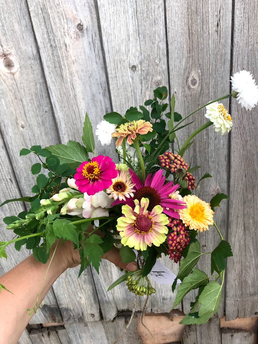 Alexis Joy Florals | 24 York St, Picton, ON K0K 2T0, Canada | Phone: (613) 885-0226