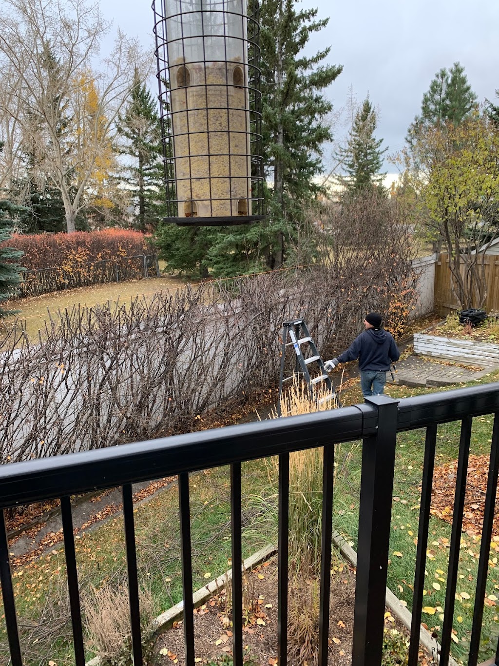 Eco-Land tree services and landscaping LTD | 119 Coachway Rd SW, Calgary, AB T3H 1B2, Canada | Phone: (587) 966-1905