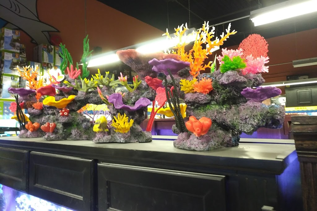 Big Als Aquarium Supercentres - Ottawa | 1900 Innes Rd, Gloucester, ON K1B 3K5, Canada | Phone: (613) 244-3474