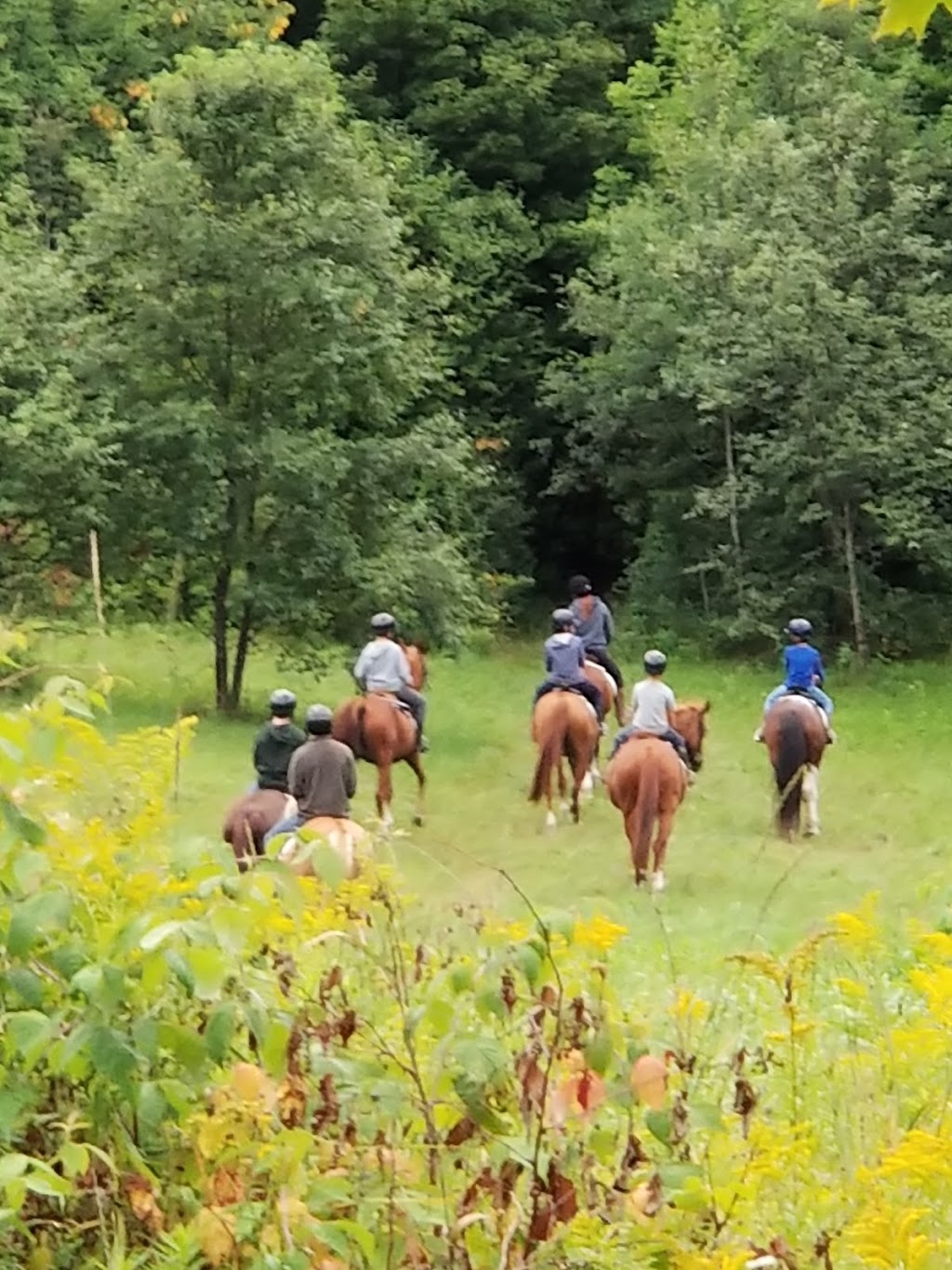 Camp Ponacka | 376 Ponacka Rd, Highland Grove, ON K0L 2A0, Canada | Phone: (705) 748-9470