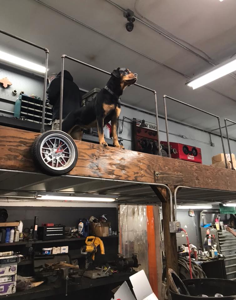 Northern Tire | 9 Laperle Dr, Colebrook, NH 03576, USA | Phone: (603) 237-8105