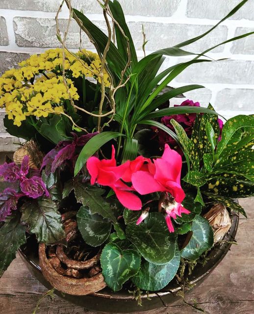 Northwest Florist | 8650 112 Ave NW Unit 7139, Calgary, AB T3R 0R5, Canada | Phone: (403) 289-0606