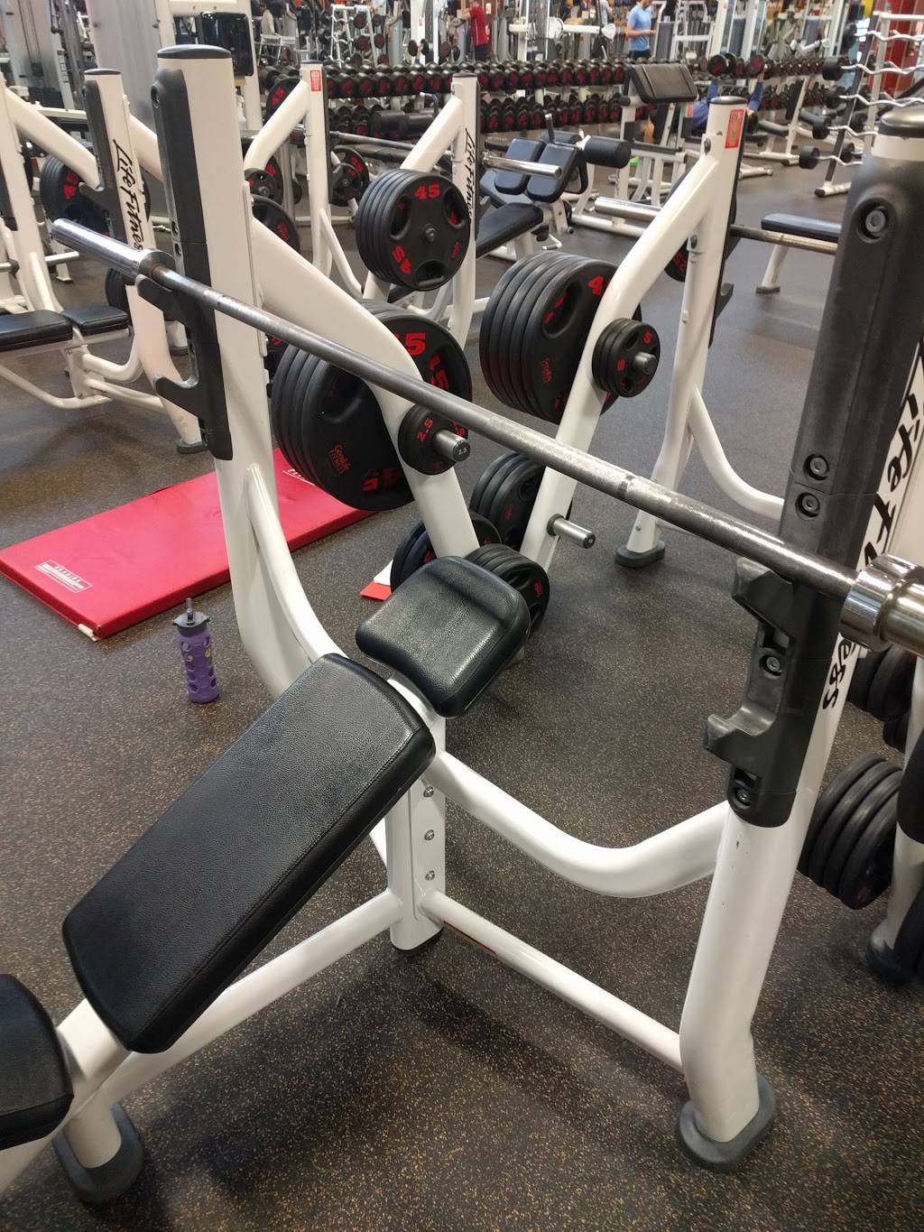 GoodLife Fitness Oakville Trafalgar Ridge Plaza | 2395 Trafalgar Rd, Oakville, ON L6H 6K7, Canada | Phone: (905) 257-1369