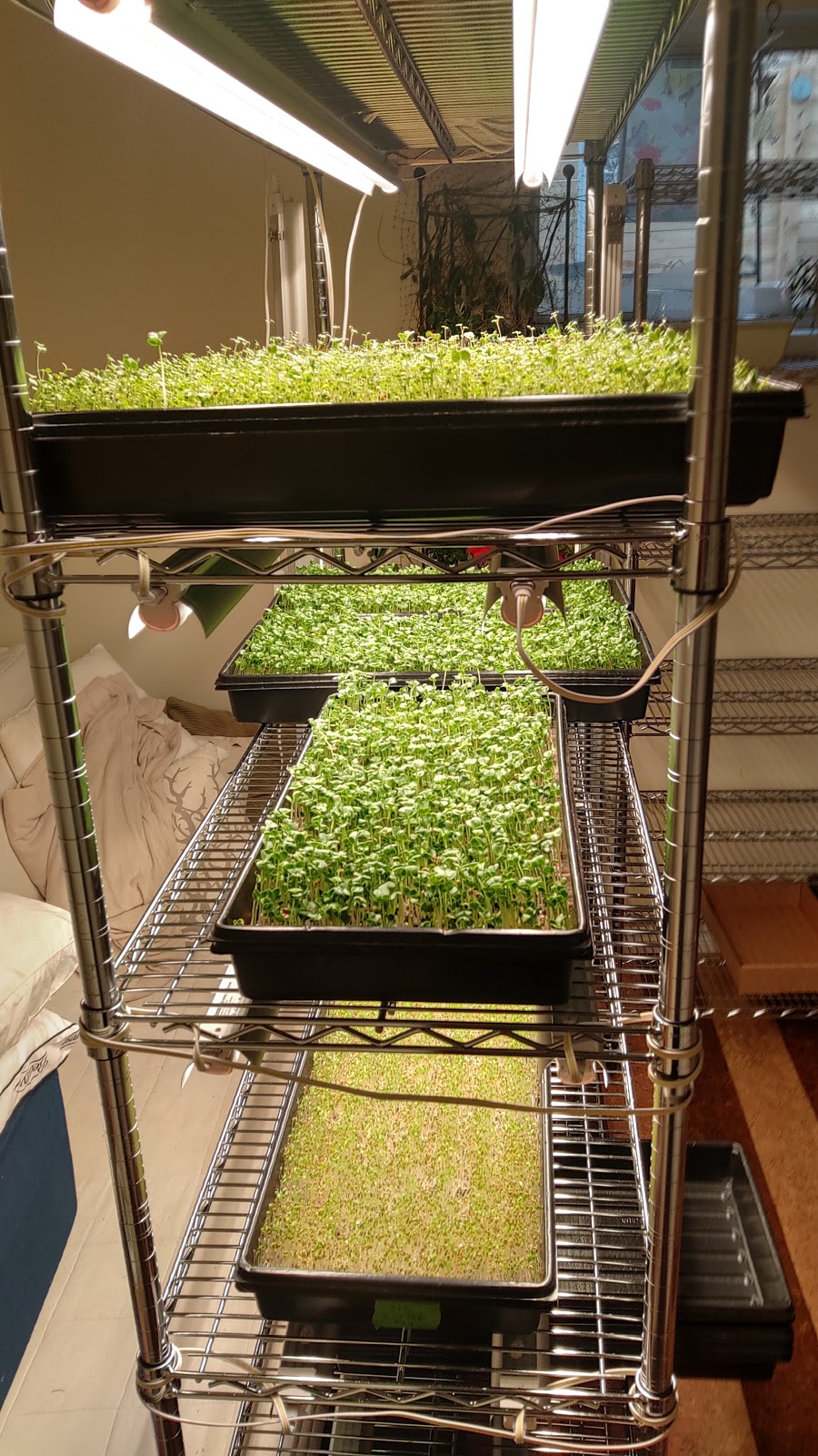 Fresh 2 You | 10534 129 St NW, Edmonton, AB T5N 1X1, Canada | Phone: (780) 999-1470
