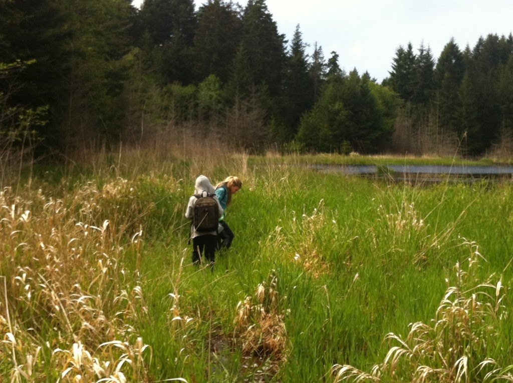 Coats Marsh Regional Park | 908 South Road, Gabriola, BC V0R 1X4, Canada | Phone: (250) 248-3252