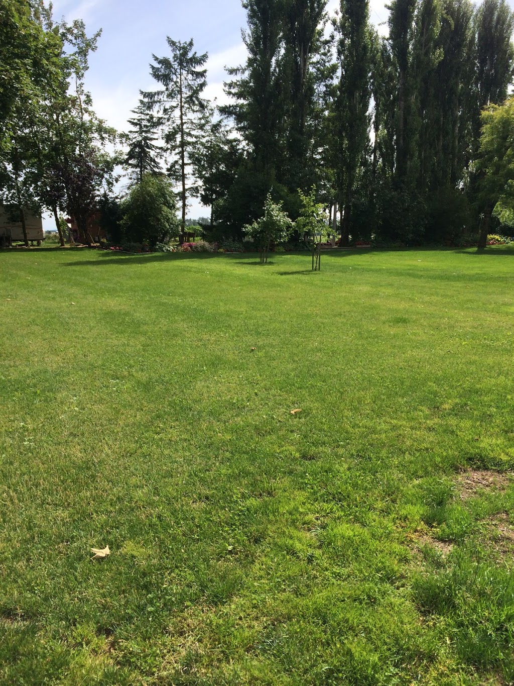 Oostemas Farmstead Inn Campground | 8402 Northwood Rd, Lynden, WA 98264, USA | Phone: (360) 815-1494