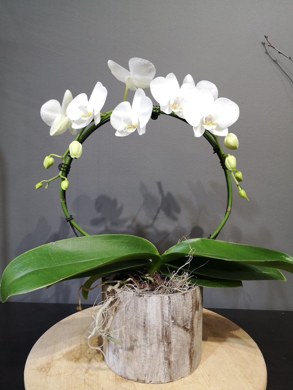 Floral Bay | 634 Major Mackenzie Dr E, Richmond Hill, ON L4C 1J9, Canada | Phone: (905) 237-7730