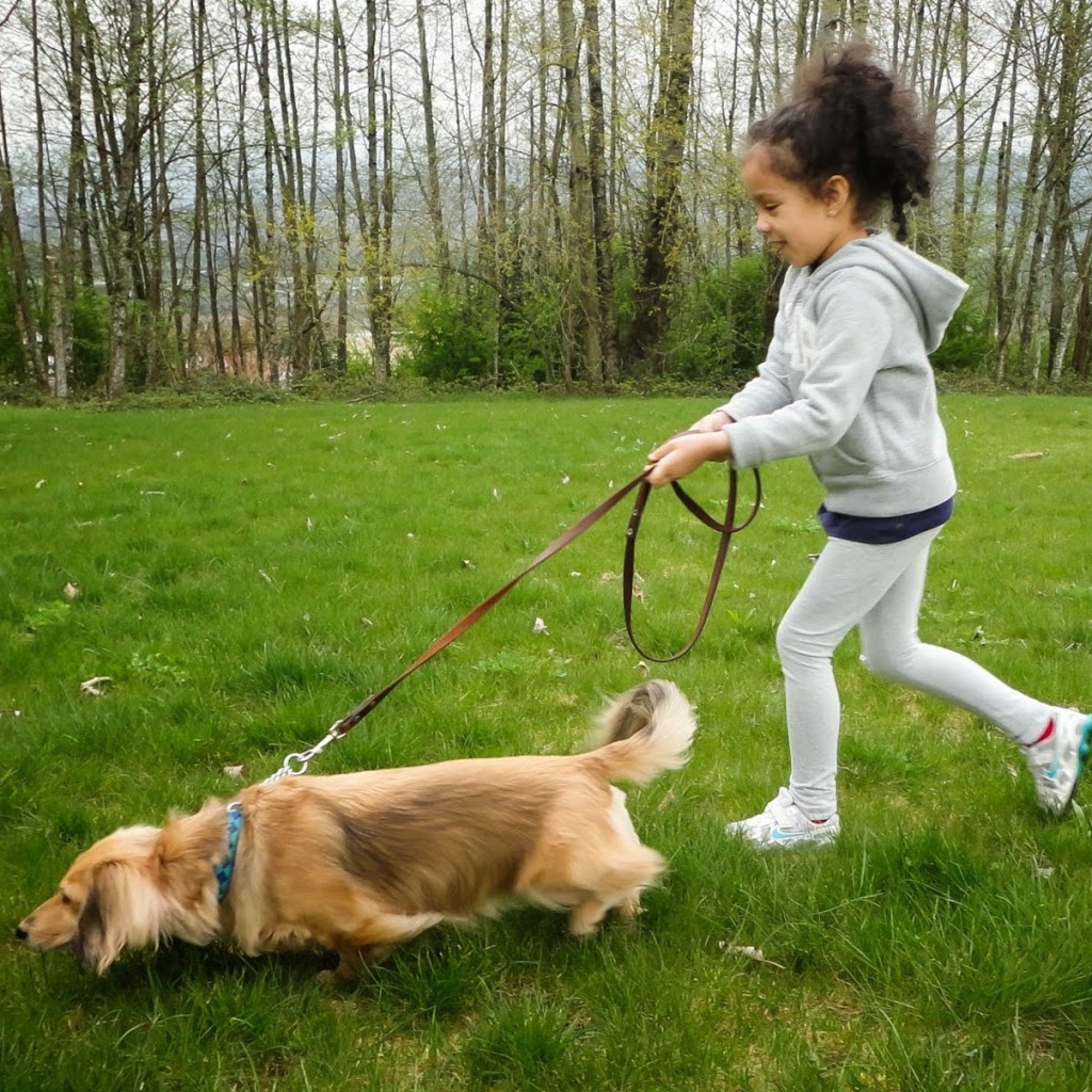 Burnaby Lakeview Preschool | 7777 Mayfield St, Burnaby, BC V5E 2J5, Canada | Phone: (604) 522-5515